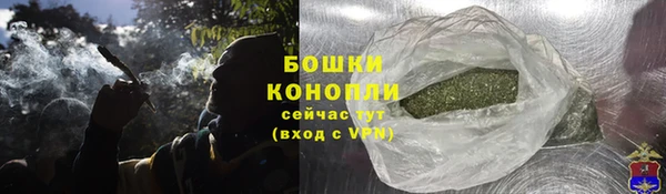 мдпв Богородск