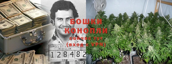 амф Богородицк