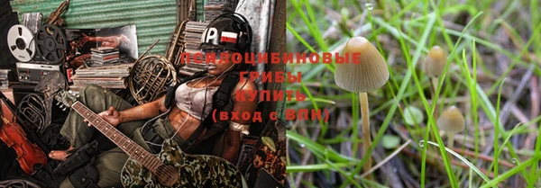 a pvp Бородино