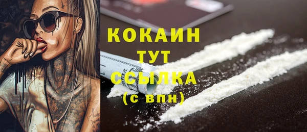 a pvp Бородино