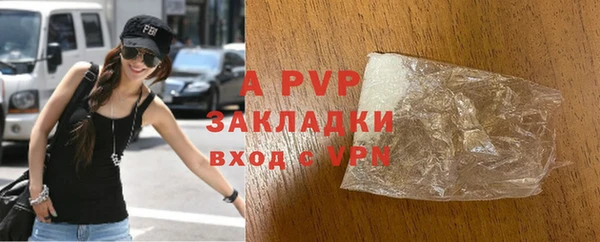 a pvp Бородино