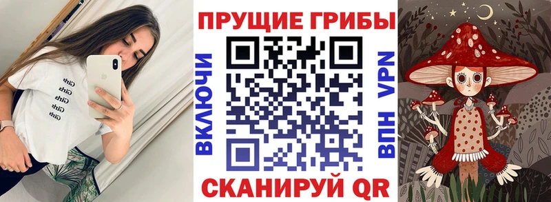 mega   Оренбург  Галлюциногенные грибы мухоморы 
